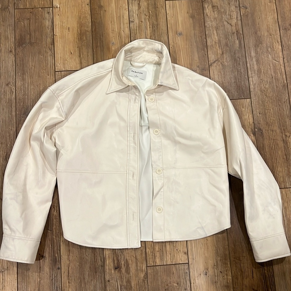 Aritzia BABATON leather jacket.